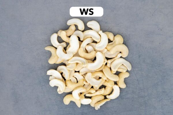 WS